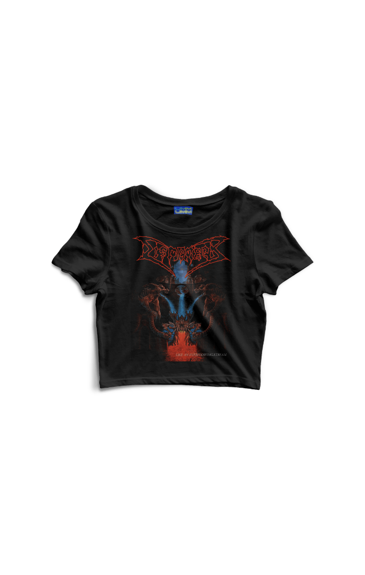 CAMISETA CROPPED DISMEMBER